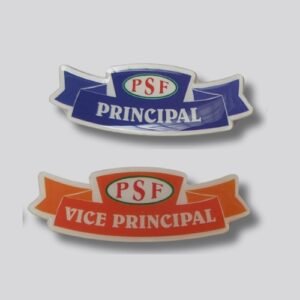 School-Multicolor Acrylic Badges