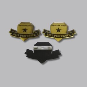 School-Gold/Silver Acrylic  Badges