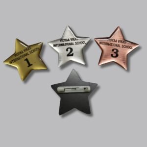 School-Gold/Silver Acrylic  Badges