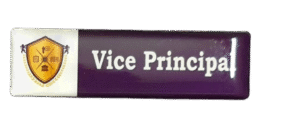 Vice Principal