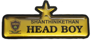 Head Boy Badge