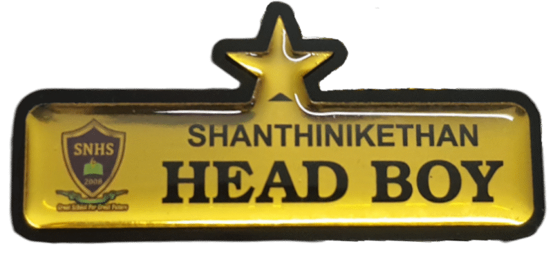 Head Boy Badge