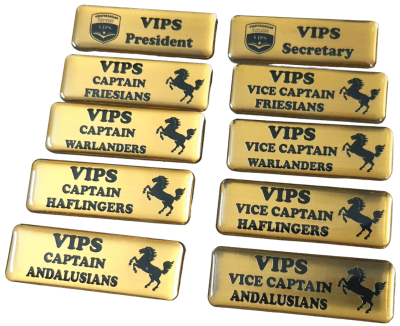 Vise Captain Badge