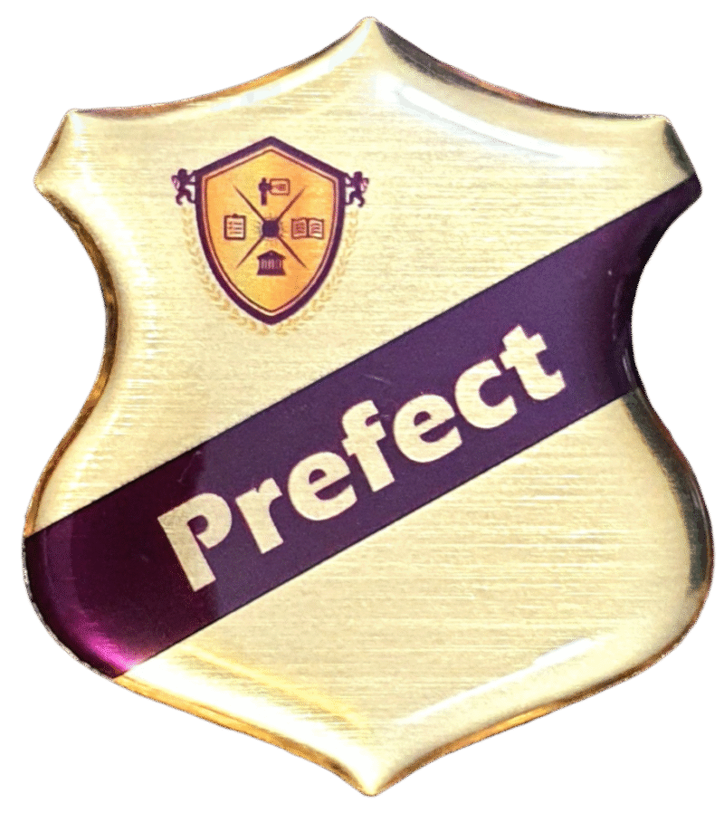 Perfect Gold Badge
