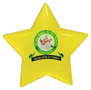 Star Logo
