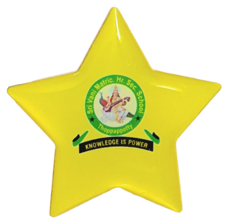 Star Logo
